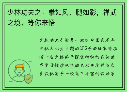 少林功夫之：拳如风，腿如影，禅武之境，等你来悟